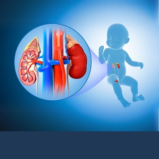 Pediatric Urologist in Gujarat
